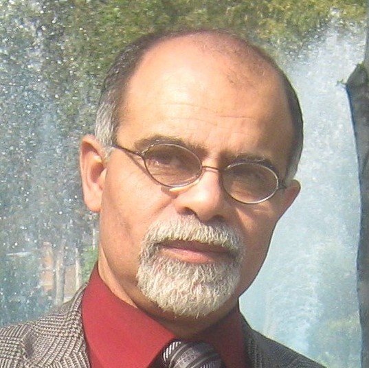 محمد علاء الدين عبد المولى